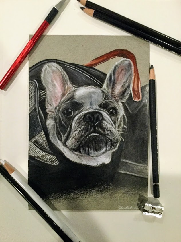Pencil Color Portrait of a French Bulldog