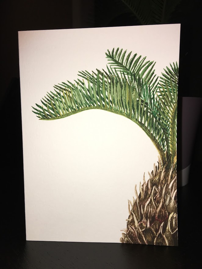 Watercolor Card of A Sago Palm Plant